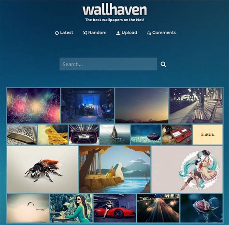 wallhavemn|what happened to wallhaven.